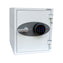 Phoenix Datacare 2001 Fireproof Data Safe
