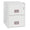 Phoenix 2272 2 Drawer World Class Vertical Fire File