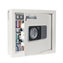 Phoenix Cygnus Key Safes