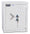 Burton Eurovault Aver Grade 5 Size 2 Safe