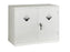Premium Chemical Storage Cabinets