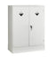 Premium Chemical Storage Cabinets